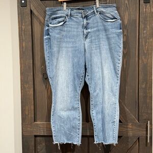 JUDY BLUE Women’s‎ Boyfriend Jean Cropped Stretch JB82335LT-PL Size 20W